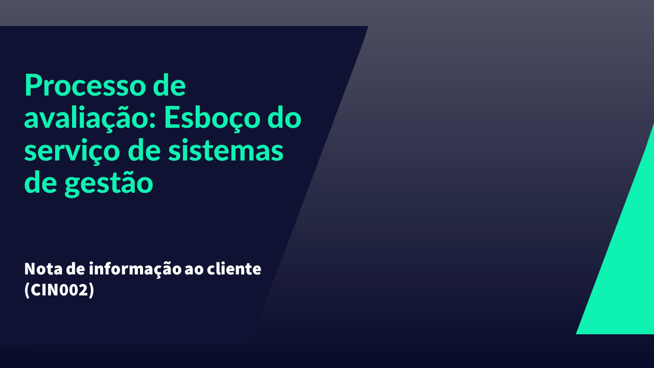 CIN002 - &nbsp;Assessment Process&nbsp; Management Systems service outline